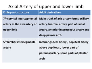 Axial Artery of upper and lower limb
Embryonic structure Adult derivatives
7th cervical intersegmental
artery is the axis artery of
upper limb
Main trunk of axis artery forms axillary
artery, brachial artery, part of radial
artery, anterior interosseous artery and
deep palmar arch
5th lumbar intersegmental
artery
Inferior gluteal artery , popliteal artery
above popliteus , lower part of
peroneal artery, some parts of plantar
arch
 
