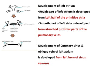 Development of left atrium
•Rough part of left atrium is developed
from Left half of the primitive atria
•Smooth part of left atria is developed
from absorbed proximal parts of the
pulmonary veins
Development of Coronary sinus &
oblique vein of left atrium
is developed from left horn of sinus
venosus
 