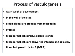 Process of vasculogenesis
• At 3rd week of development
• In the wall of yolk sac
• Blood islands are produce from mesoderm
• Process
• Mesodermal cells produce blood islands
• Mesodermal cells are converted into hemangioblast by
fibroblast growth factor 2 (FGF 2)
 