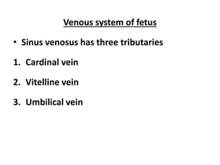 Venous system of fetus
• Sinus venosus has three tributaries
1. Cardinal vein
2. Vitelline vein
3. Umbilical vein
 
