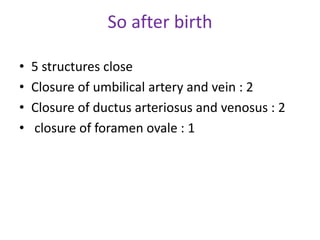 So after birth
• 5 structures close
• Closure of umbilical artery and vein : 2
• Closure of ductus arteriosus and venosus : 2
• closure of foramen ovale : 1
 