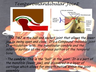 Temperomandibular Joint

• The TMJ is the ball and socket joint that allows the lower
jaw to swing open and close.  It’s a...