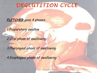 DEGLUTITION CYCLE
FLETCHER gave 4 phases
1.Preparatory swallow
2.Oral phase of swallowing
3.Pharyngeal phase of swallowing...