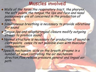 Muscles involved
Walls of the torso,the respiratory tract, the pharynx,
the soft palate,the tongue,the lips and face and n...