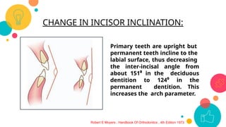 Teeth Incliners development of dentition amd occlusion.pptx