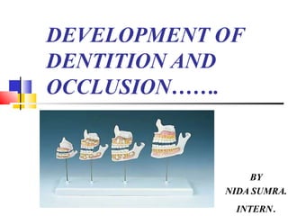 DEVELOPMENT OF
DENTITION AND
OCCLUSION…….
BY
NIDA SUMRA.
INTERN.
 