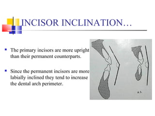 Development of dentition and occlusion | PPT