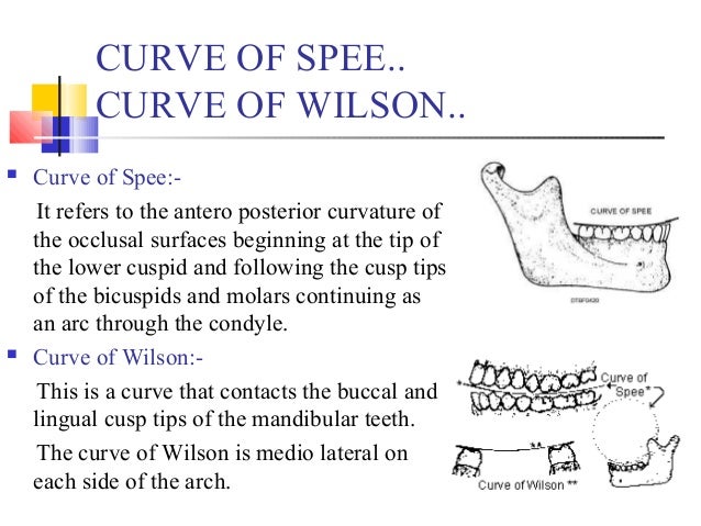 curve of spee