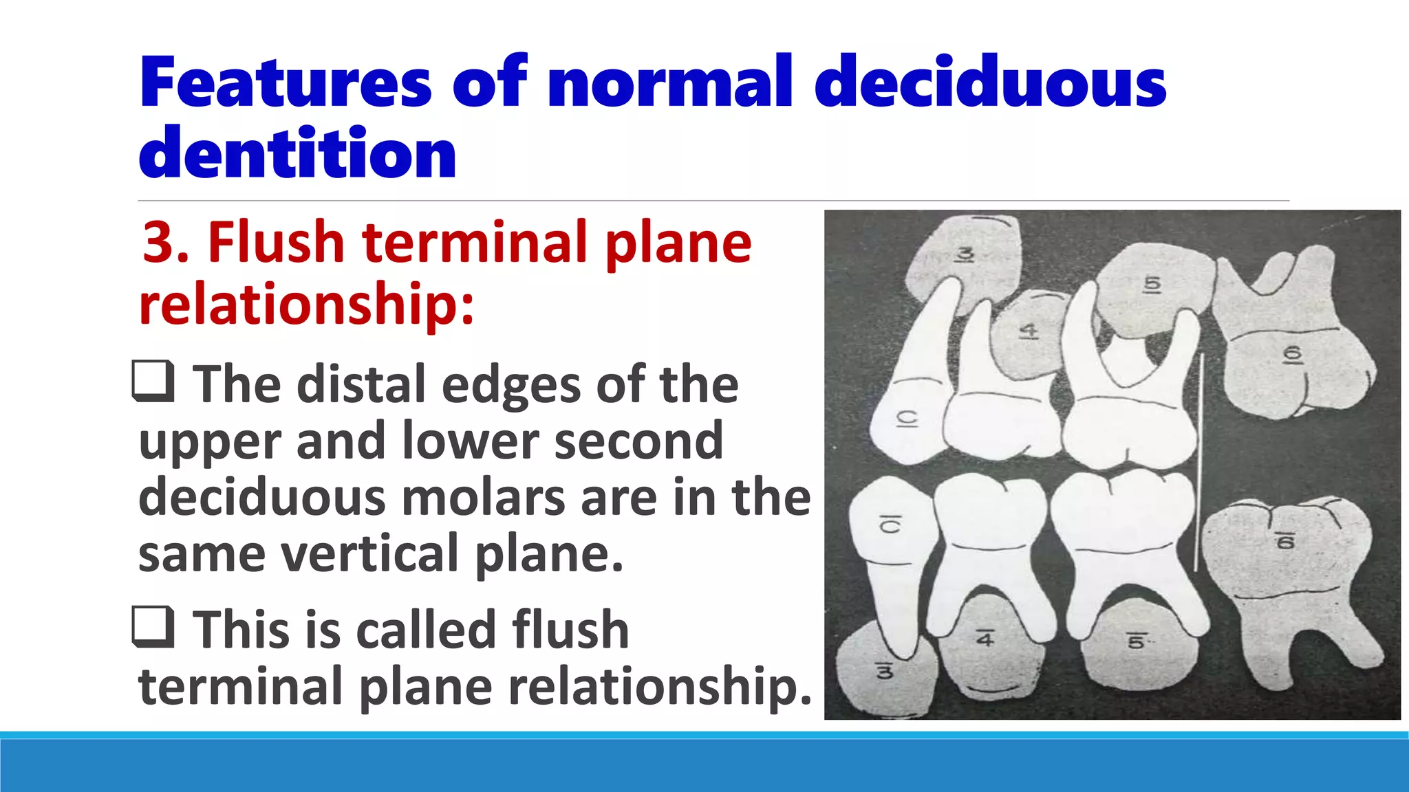Features of normal deciduous
dentition
3. Flush terminal plane
relationship:
 The distal edges of the
upper and lower second
deciduous molars are in the
same vertical plane.
 This is called flush
terminal plane relationship.
 