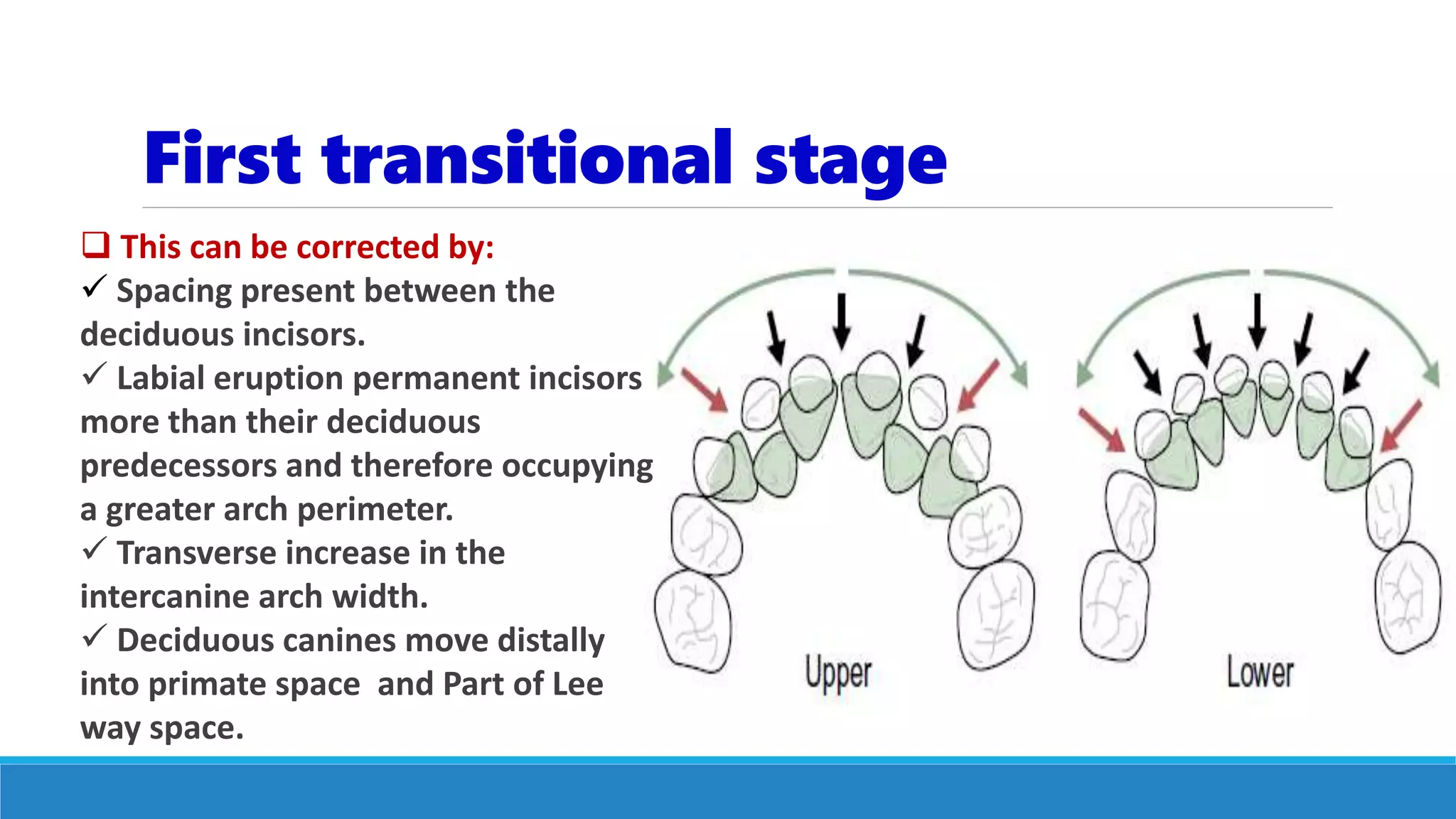 First transitional stage
 This can be corrected by:
 Spacing present between the
deciduous incisors.
 Labial eruption permanent incisors
more than their deciduous
predecessors and therefore occupying
a greater arch perimeter.
 Transverse increase in the
intercanine arch width.
 Deciduous canines move distally
into primate space and Part of Lee
way space.
 