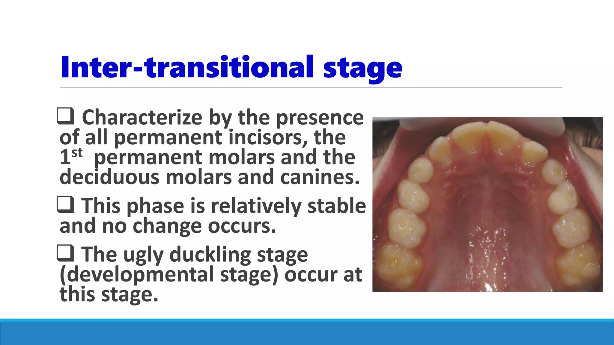  Characterize by the presence
of all permanent incisors, the
1st permanent molars and the
deciduous molars and canines.
 This phase is relatively stable
and no change occurs.
 The ugly duckling stage
(developmental stage) occur at
this stage.
Inter-transitional stage
 