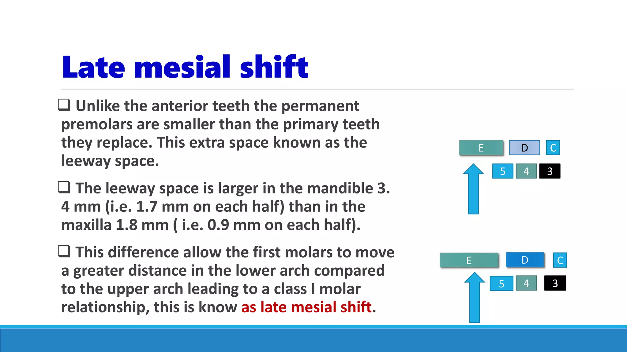 Late mesial shift
 Unlike the anterior teeth the permanent
premolars are smaller than the primary teeth
they replace. This extra space known as the
leeway space.
 The leeway space is larger in the mandible 3.
4 mm (i.e. 1.7 mm on each half) than in the
maxilla 1.8 mm ( i.e. 0.9 mm on each half).
 This difference allow the first molars to move
a greater distance in the lower arch compared
to the upper arch leading to a class I molar
relationship, this is know as late mesial shift.
CDE
345
E D C
345
 