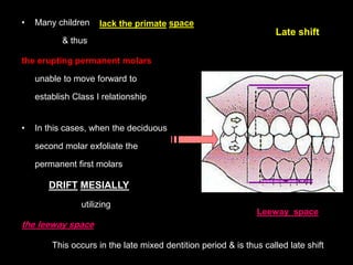 Development of Dentition and Occlusion _Dr. Nabil Al-Zubair | PDF