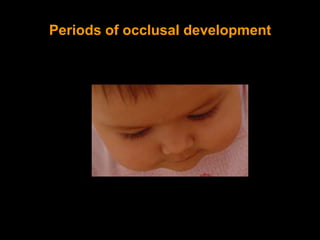 Periods of occlusal development
 
