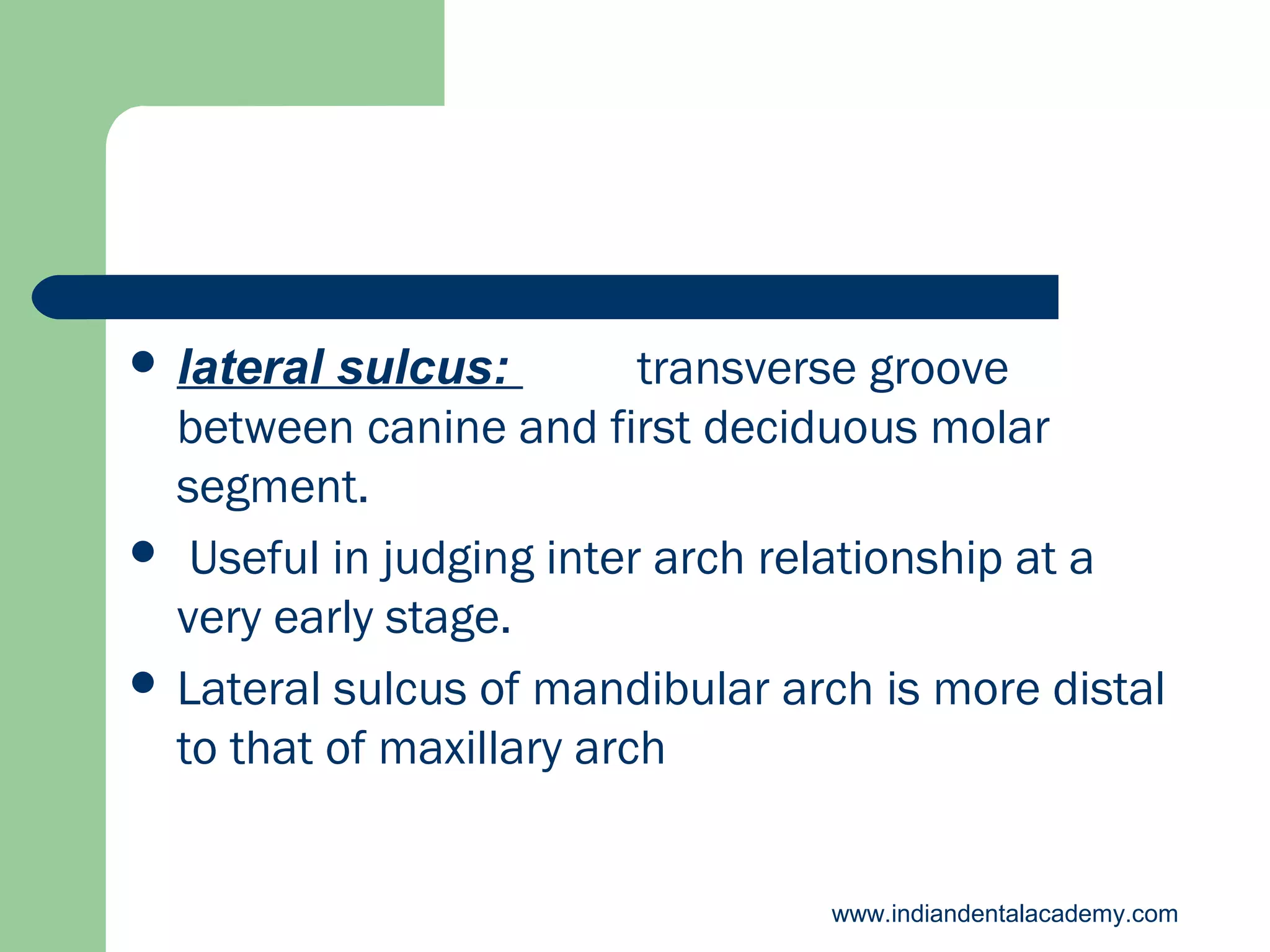  lateral

sulcus:
transverse groove
between canine and first deciduous molar
segment.
 Useful in judging inter arch relationship at a
very early stage.
 Lateral sulcus of mandibular arch is more distal
to that of maxillary arch
www.indiandentalacademy.com

 