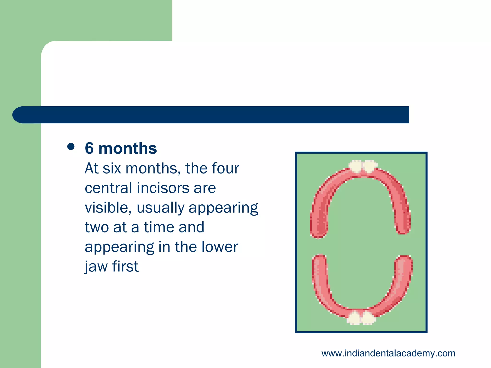 

6 months
At six months, the four
central incisors are
visible, usually appearing
two at a time and
appearing in the lower
jaw first

www.indiandentalacademy.com

 