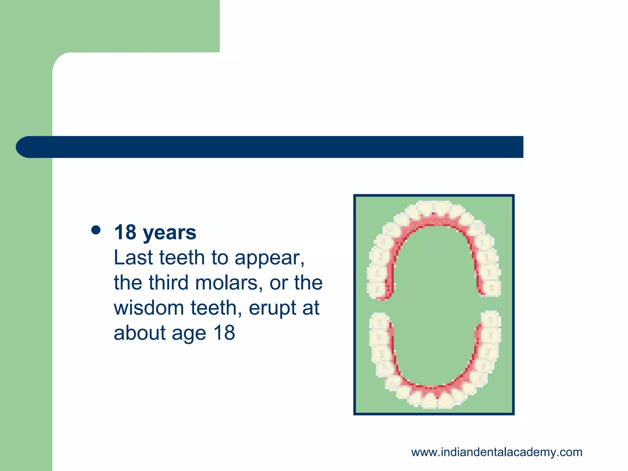 

18 years
Last teeth to appear,
the third molars, or the
wisdom teeth, erupt at
about age 18

www.indiandentalacademy.com

 