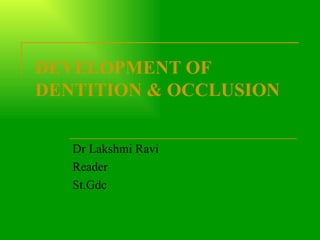 DEVELOPMENT OF DENTITION & OCCLUSION Dr Lakshmi Ravi Reader St.Gdc 