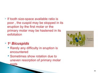 Development of dentiton and occlusion dr ajay srinivas | PPT