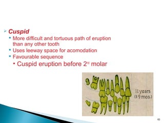 Development of dentiton and occlusion dr ajay srinivas | PPT