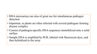 • DNA microarrays are also of great use for simultaneous pathogen
detection
• Important, as plants are often infected with several pathogens forming
disease complex
• Consist of pathogen-specific DNA sequences immobilized onto a solid
surface
• Sample DNA is amplified by PCR, labeled with fluorescent dyes, and
then hybridized to the array
 