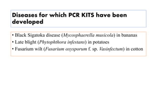 Diseases for which PCR KITS have been
developed
• Black Sigatoka disease (Mycosphaerella musicola) in bananas
• Late blight (Phytophthora infestans) in potatoes
• Fusarium wilt (Fusarium oxysporum f. sp. Vasinfectum) in cotton
 