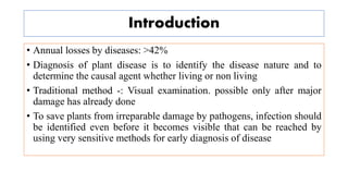 Introduction
• Annual losses by diseases: ˃42%
• Diagnosis of plant disease is to identify the disease nature and to
determine the causal agent whether living or non living
• Traditional method -: Visual examination. possible only after major
damage has already done
• To save plants from irreparable damage by pathogens, infection should
be identified even before it becomes visible that can be reached by
using very sensitive methods for early diagnosis of disease
 