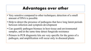 Advantages over other
• Very sensitive compared to other techniques; detection of a small
amount of DNA is possible
• Help to detect the presence of pathogens that have long latent periods
between infection and symptom development
• Can quantify pathogen biomass in host tissue and environmental
samples, and at the same time detect fungicide resistance
• Primers in PCR diagnostic kits are very specific for the genes of a
pathogen, and amplification will occur only in diseased plants
 