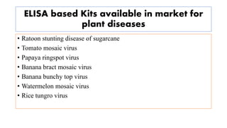 ELISA based Kits available in market for
plant diseases
• Ratoon stunting disease of sugarcane
• Tomato mosaic virus
• Papaya ringspot virus
• Banana bract mosaic virus
• Banana bunchy top virus
• Watermelon mosaic virus
• Rice tungro virus
 