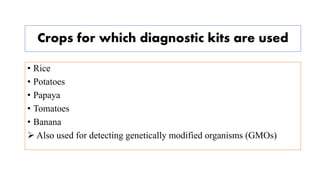 Crops for which diagnostic kits are used
• Rice
• Potatoes
• Papaya
• Tomatoes
• Banana
 Also used for detecting genetically modified organisms (GMOs)
 