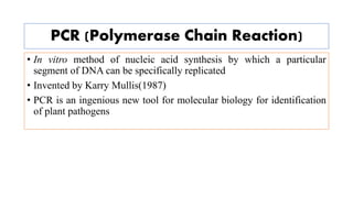 PCR (Polymerase Chain Reaction)
• In vitro method of nucleic acid synthesis by which a particular
segment of DNA can be specifically replicated
• Invented by Karry Mullis(1987)
• PCR is an ingenious new tool for molecular biology for identification
of plant pathogens
 