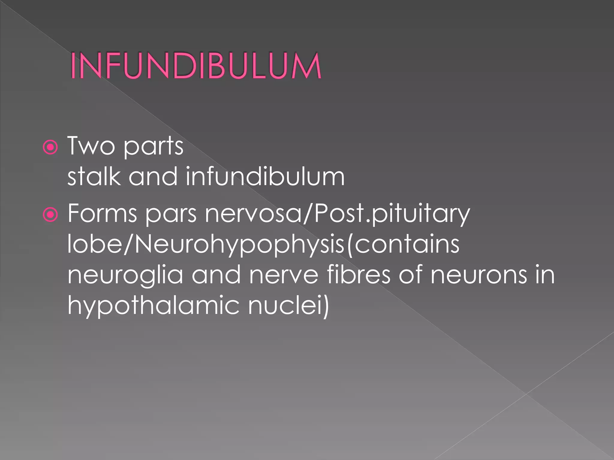  Two parts
stalk and infundibulum
 Forms pars nervosa/Post.pituitary
lobe/Neurohypophysis(contains
neuroglia and nerve fibres of neurons in
hypothalamic nuclei)
 