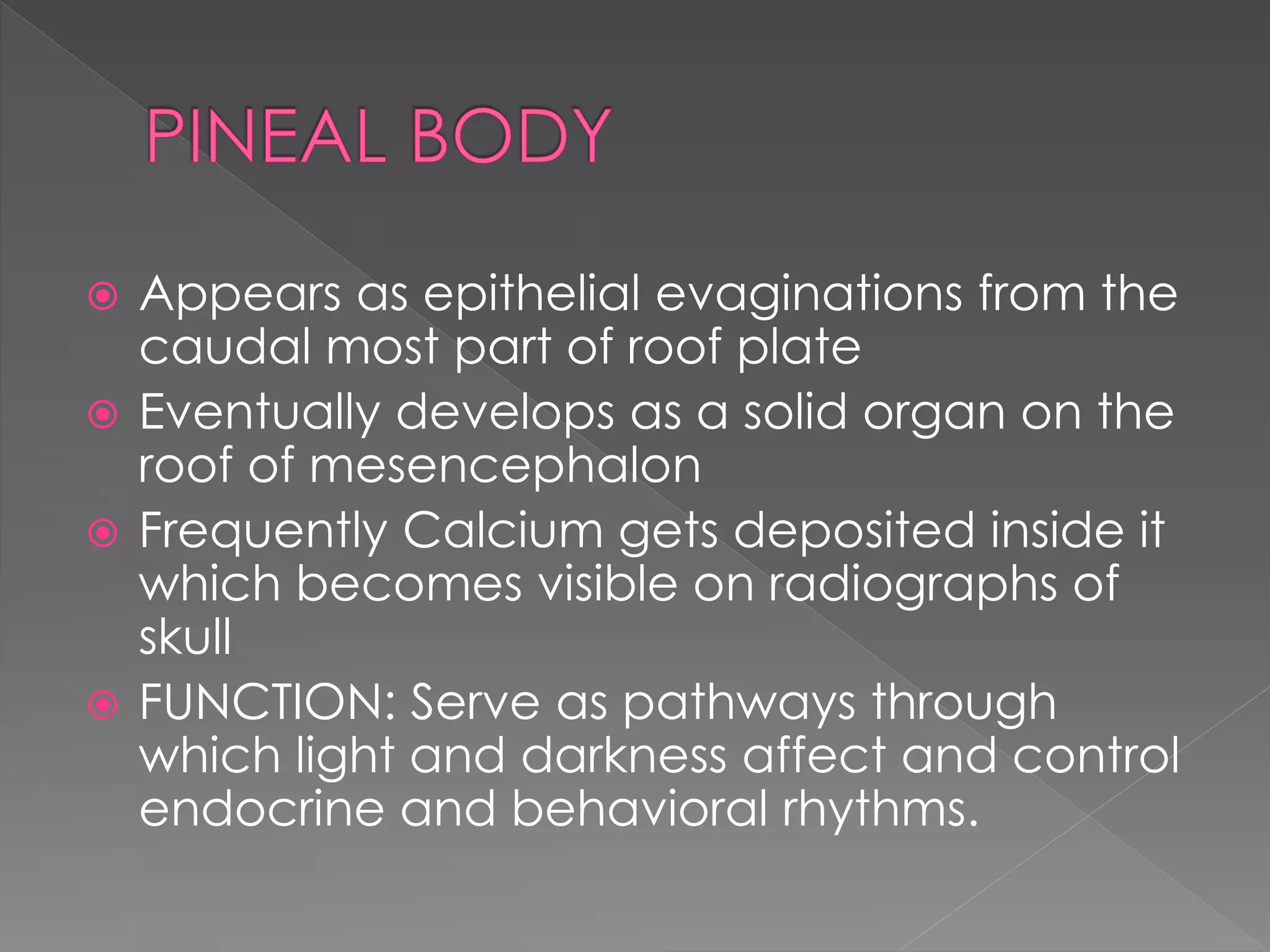  Appears as epithelial evaginations from the
caudal most part of roof plate
 Eventually develops as a solid organ on the
roof of mesencephalon
 Frequently Calcium gets deposited inside it
which becomes visible on radiographs of
skull
 FUNCTION: Serve as pathways through
which light and darkness affect and control
endocrine and behavioral rhythms.
 