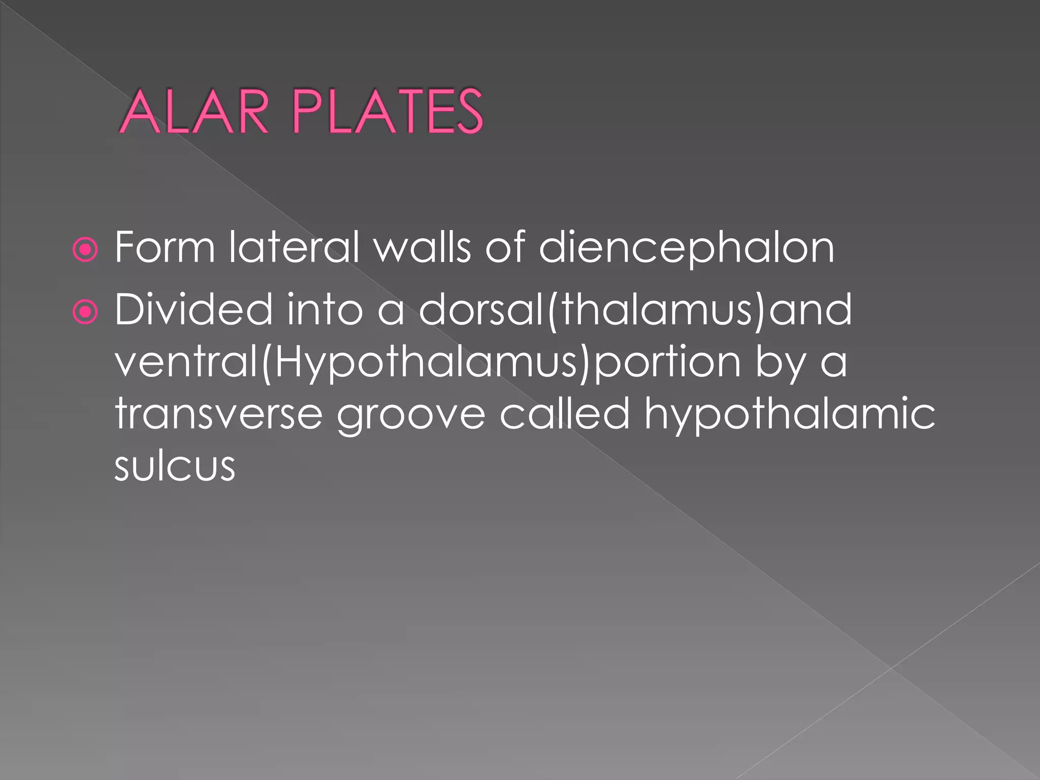  Form lateral walls of diencephalon
 Divided into a dorsal(thalamus)and
ventral(Hypothalamus)portion by a
transverse groove called hypothalamic
sulcus
 