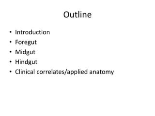 Outline
• Introduction
• Foregut
• Midgut
• Hindgut
• Clinical correlates/applied anatomy
 