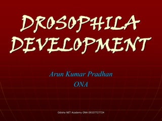 DROSOPHILA
DEVELOPMENT
Arun Kumar Pradhan
ONA
Odisha NET Academy ONA 09337727724
 