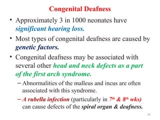 Congenital Deafness
• Approximately 3 in 1000 neonates have
significant hearing loss.
• Most types of congenital deafness are caused by
genetic factors.
• Congenital deafness may be associated with
several other head and neck defects as a part
of the first arch syndrome.
– Abnormalities of the malleus and incus are often
associated with this syndrome.
– A rubella infection (particularly in 7th
& 8th
wks)
can cause defects of the spiral organ & deafness.
20
 