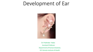 Development of Ear
Dr. Prabhakar Yadav
Assistant Professor
Department of Human Anatomy
B.P. Koirala Institute of Health
 