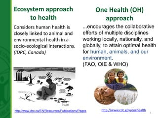 The development of Ecohealth and One Health training programs in Vietnam