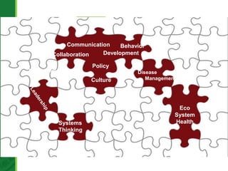 The development of Ecohealth and One Health training programs in Vietnam