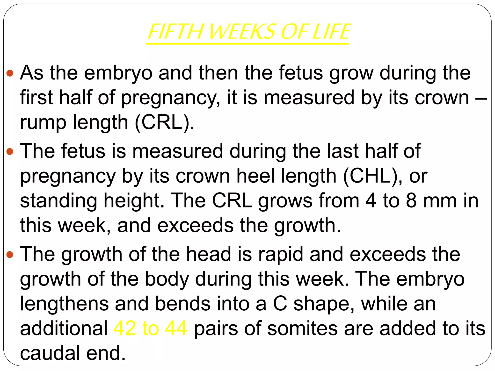 FIFTHWEEKSOFLIFE
 As the embryo and then the fetus grow during the
first half of pregnancy, it is measured by its crown –
rump length (CRL).
 The fetus is measured during the last half of
pregnancy by its crown heel length (CHL), or
standing height. The CRL grows from 4 to 8 mm in
this week, and exceeds the growth.
 The growth of the head is rapid and exceeds the
growth of the body during this week. The embryo
lengthens and bends into a C shape, while an
additional 42 to 44 pairs of somites are added to its
caudal end.
 