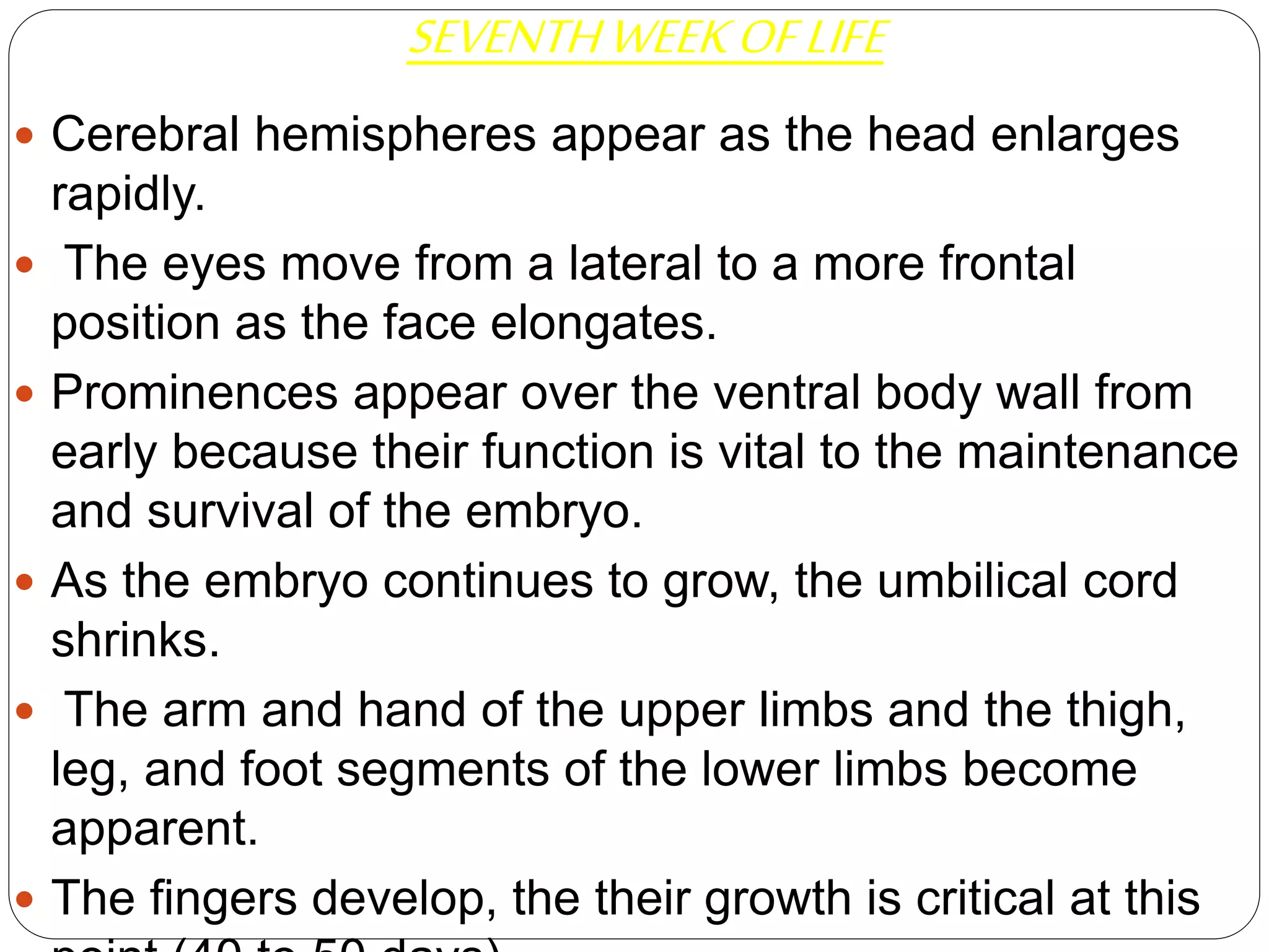 SEVENTHWEEKOFLIFE
 Cerebral hemispheres appear as the head enlarges
rapidly.
 The eyes move from a lateral to a more frontal
position as the face elongates.
 Prominences appear over the ventral body wall from
early because their function is vital to the maintenance
and survival of the embryo.
 As the embryo continues to grow, the umbilical cord
shrinks.
 The arm and hand of the upper limbs and the thigh,
leg, and foot segments of the lower limbs become
apparent.
 The fingers develop, the their growth is critical at this
 