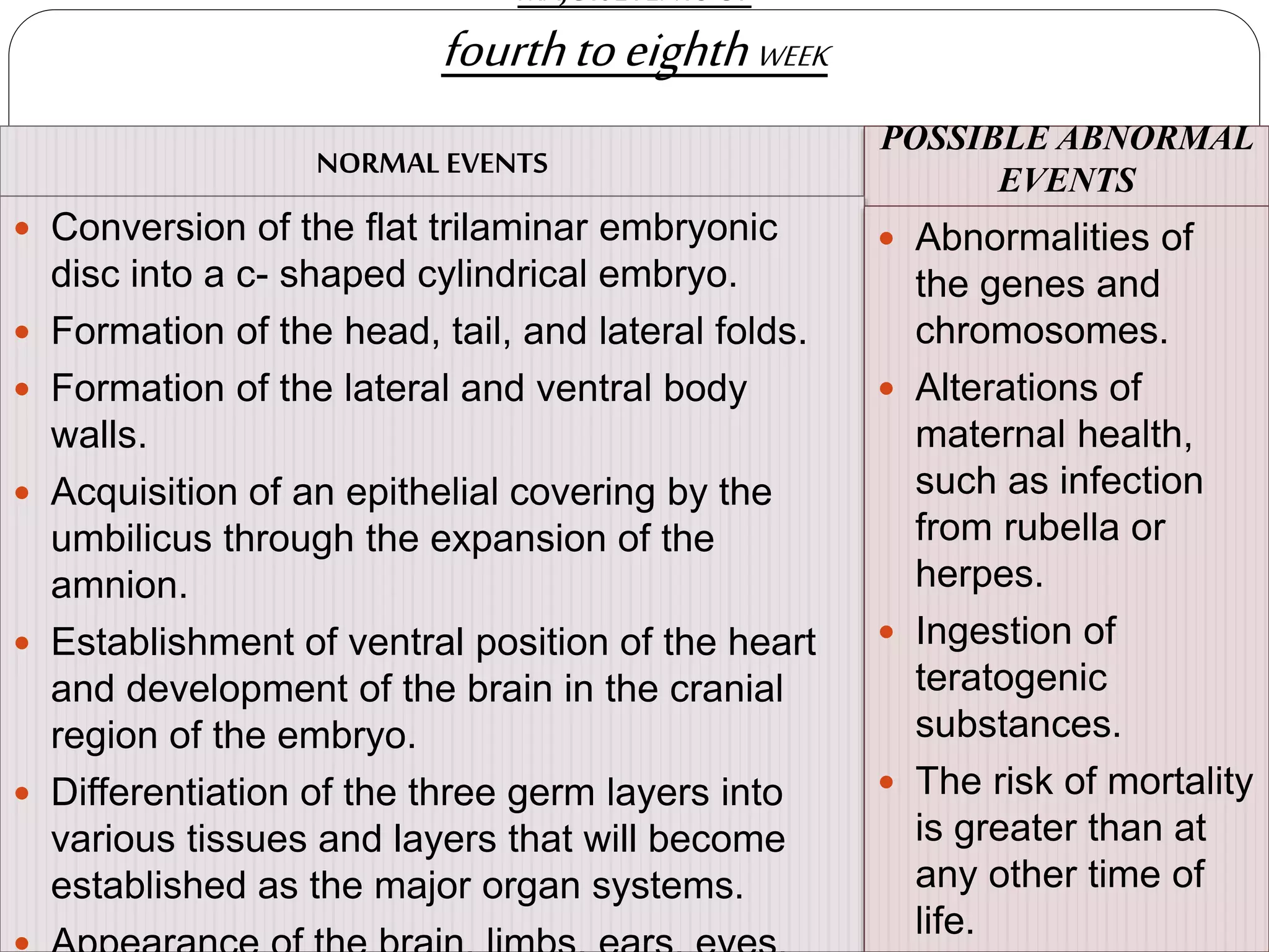 MAJOR EVENTS OF
fourthtoeighthWEEK
NORMAL EVENTS
POSSIBLE ABNORMAL
EVENTS
 Conversion of the flat trilaminar embryonic
disc into a c- shaped cylindrical embryo.
 Formation of the head, tail, and lateral folds.
 Formation of the lateral and ventral body
walls.
 Acquisition of an epithelial covering by the
umbilicus through the expansion of the
amnion.
 Establishment of ventral position of the heart
and development of the brain in the cranial
region of the embryo.
 Differentiation of the three germ layers into
various tissues and layers that will become
established as the major organ systems.
 Abnormalities of
the genes and
chromosomes.
 Alterations of
maternal health,
such as infection
from rubella or
herpes.
 Ingestion of
teratogenic
substances.
 The risk of mortality
is greater than at
any other time of
life.
 