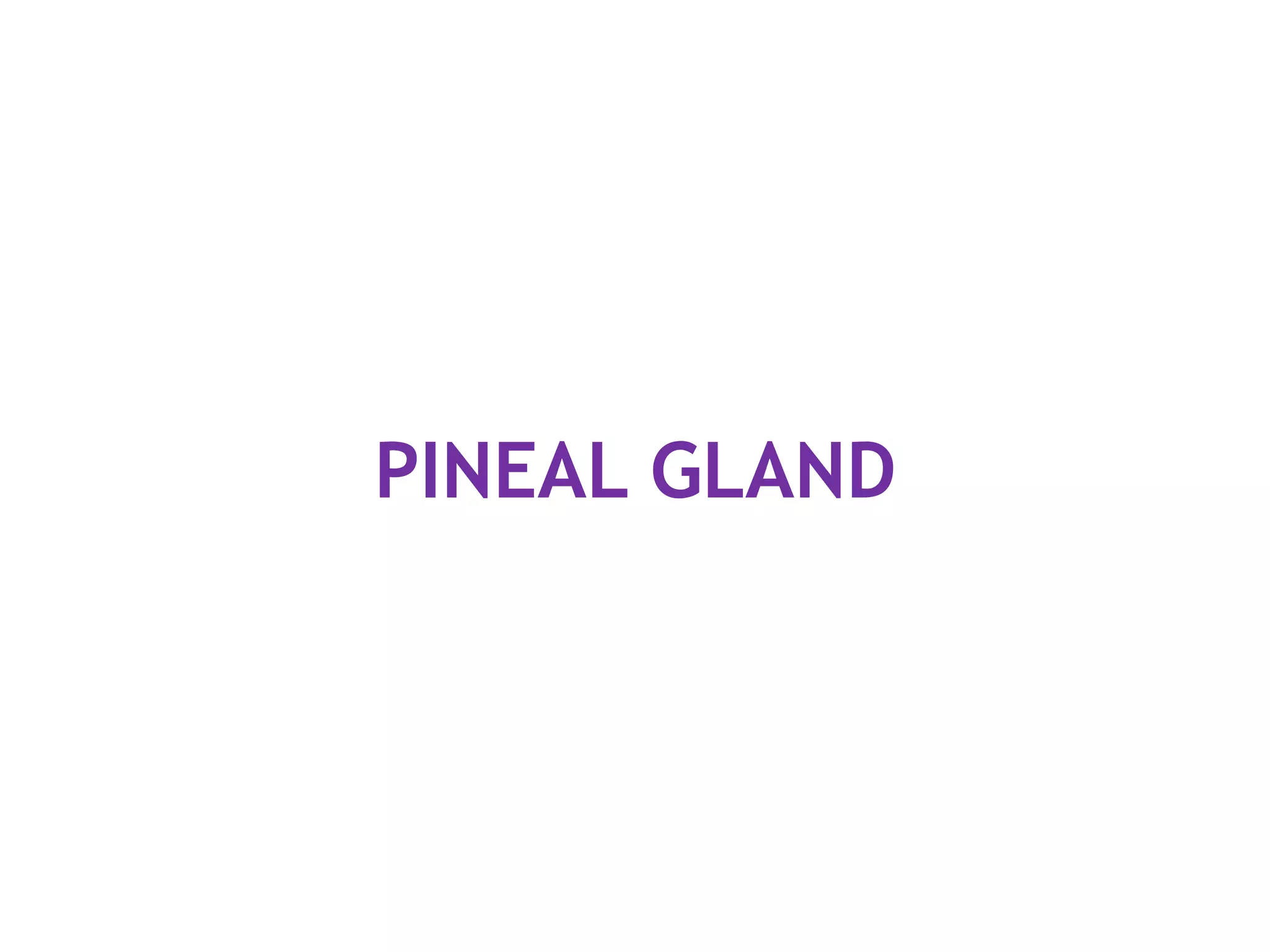 PINEAL GLAND
 