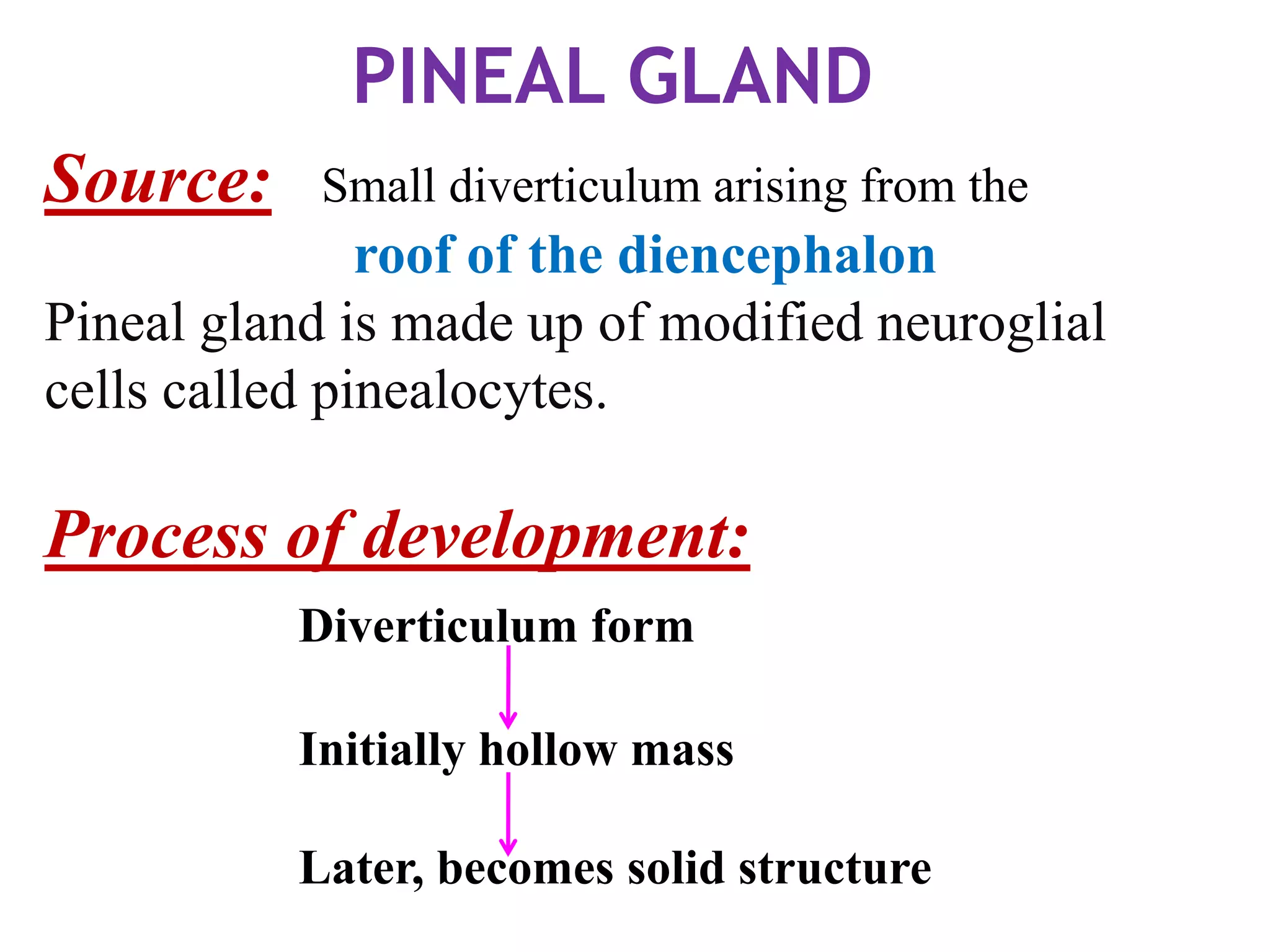 PINEAL GLAND
Source: Small diverticulum arising from the
roof of the diencephalon
Pineal gland is made up of modified neuroglial
cells called pinealocytes.
Process of development:
Diverticulum form
Initially hollow mass
Later, becomes solid structure
 