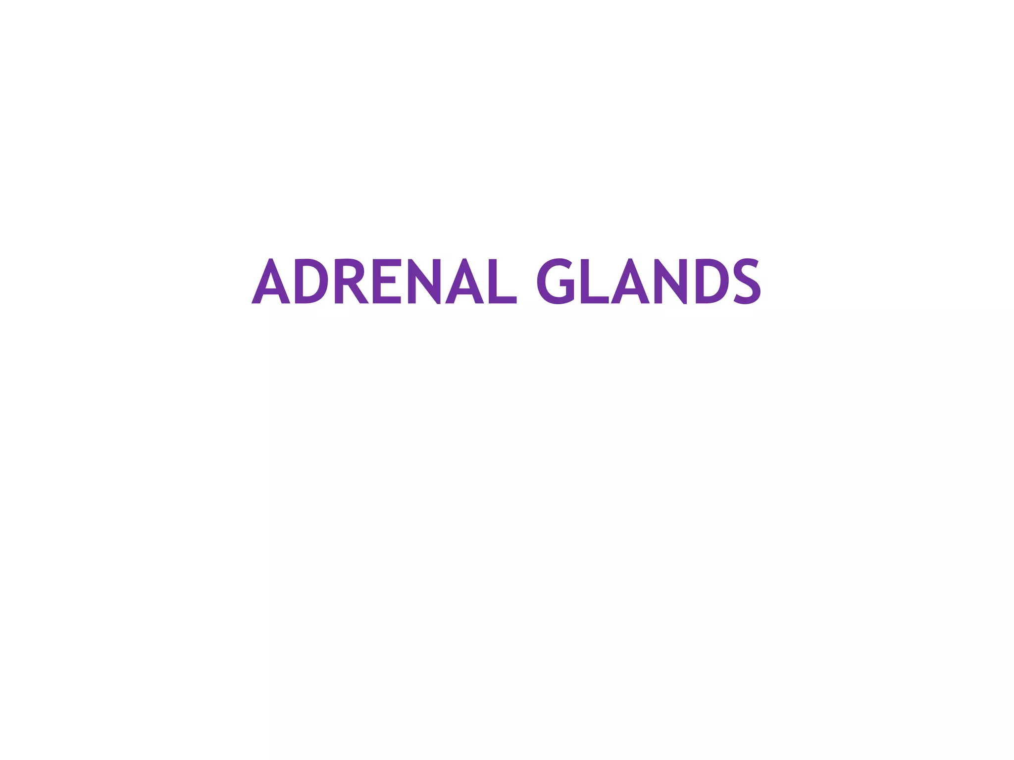 ADRENAL GLANDS
 
