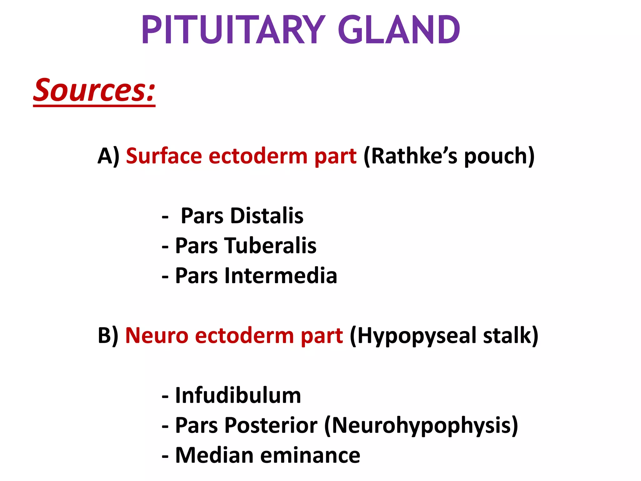PITUITARY GLAND
Sources:
A) Surface ectoderm part (Rathke’s pouch)
- Pars Distalis
- Pars Tuberalis
- Pars Intermedia
B) Neuro ectoderm part (Hypopyseal stalk)
- Infudibulum
- Pars Posterior (Neurohypophysis)
- Median eminance
 