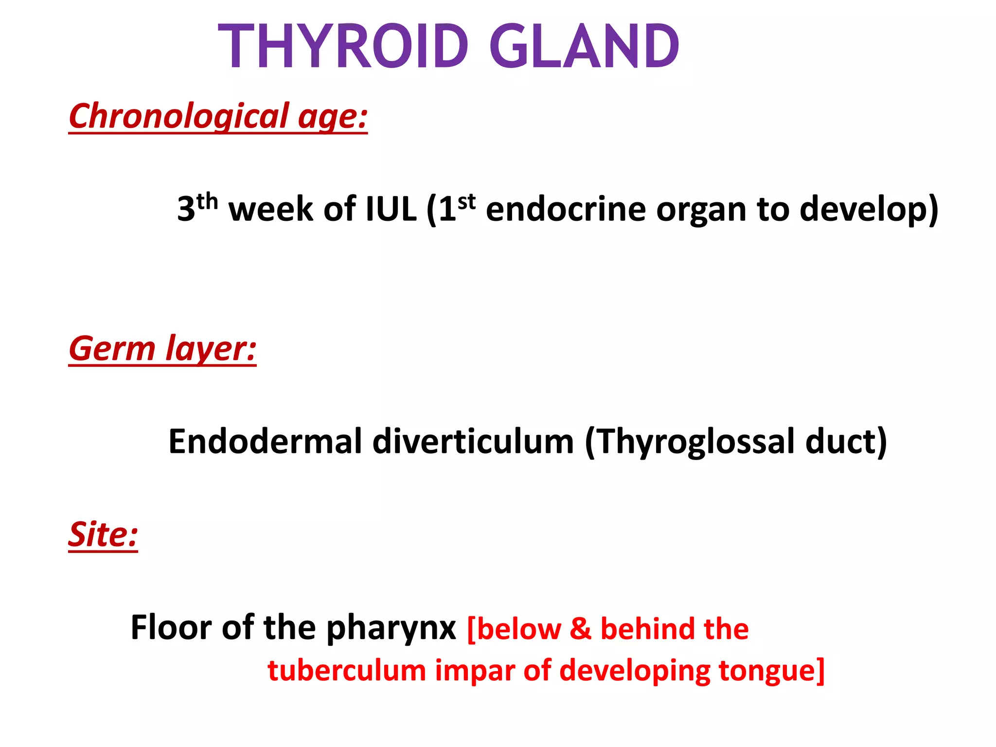 THYROID GLAND
Chronological age:
3th week of IUL (1st endocrine organ to develop)
Germ layer:
Endodermal diverticulum (Thyroglossal duct)
Site:
Floor of the pharynx [below & behind the
tuberculum impar of developing tongue]
 
