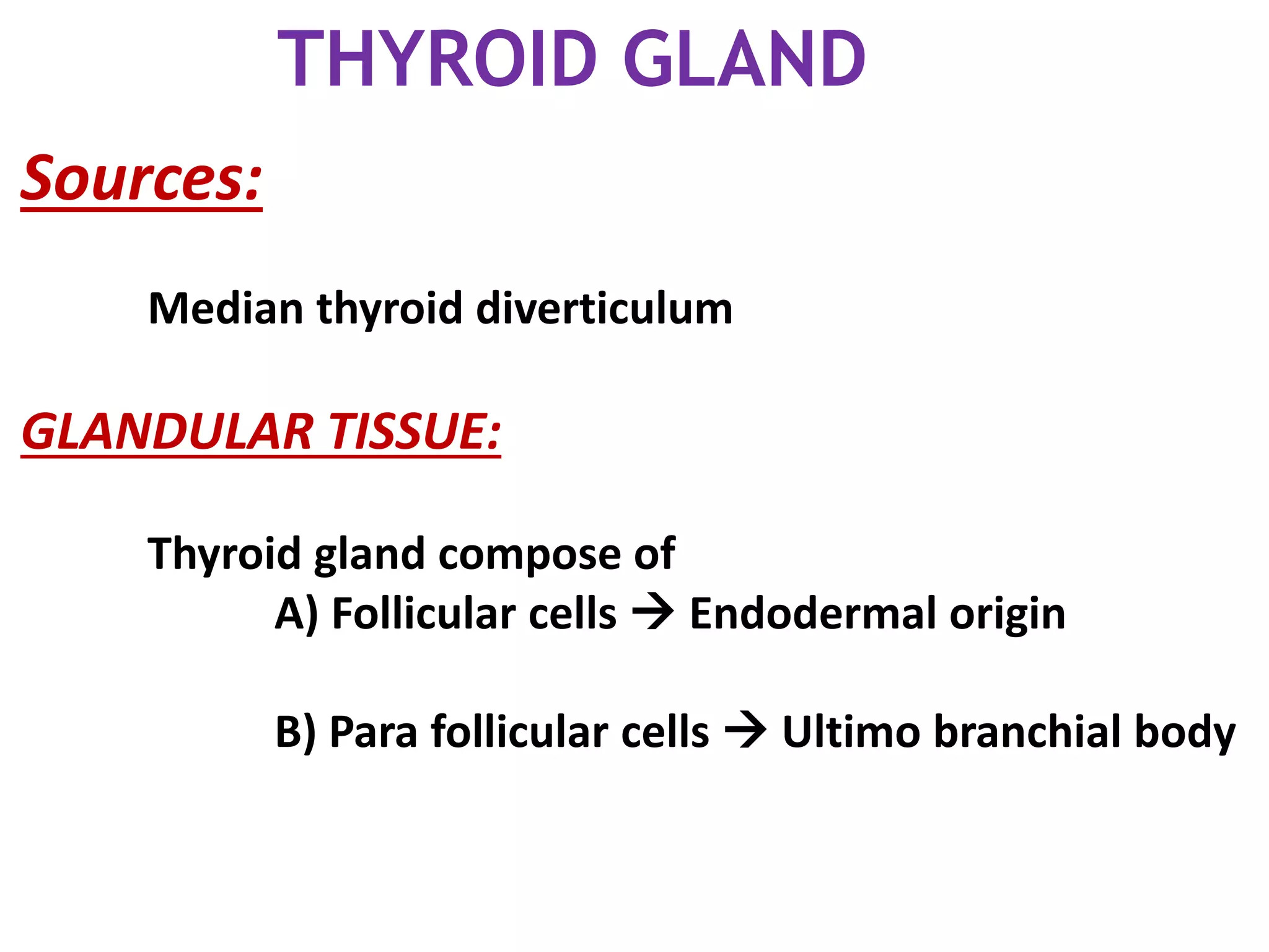 Sources:
Median thyroid diverticulum
GLANDULAR TISSUE:
Thyroid gland compose of
A) Follicular cells  Endodermal origin
B) Para follicular cells  Ultimo branchial body
THYROID GLAND
 
