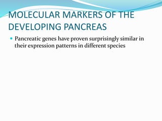 DEVELOPMENT OF EXOCRINE PANCREAS | PPTX